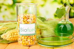 Dinas Dinlle biofuel availability